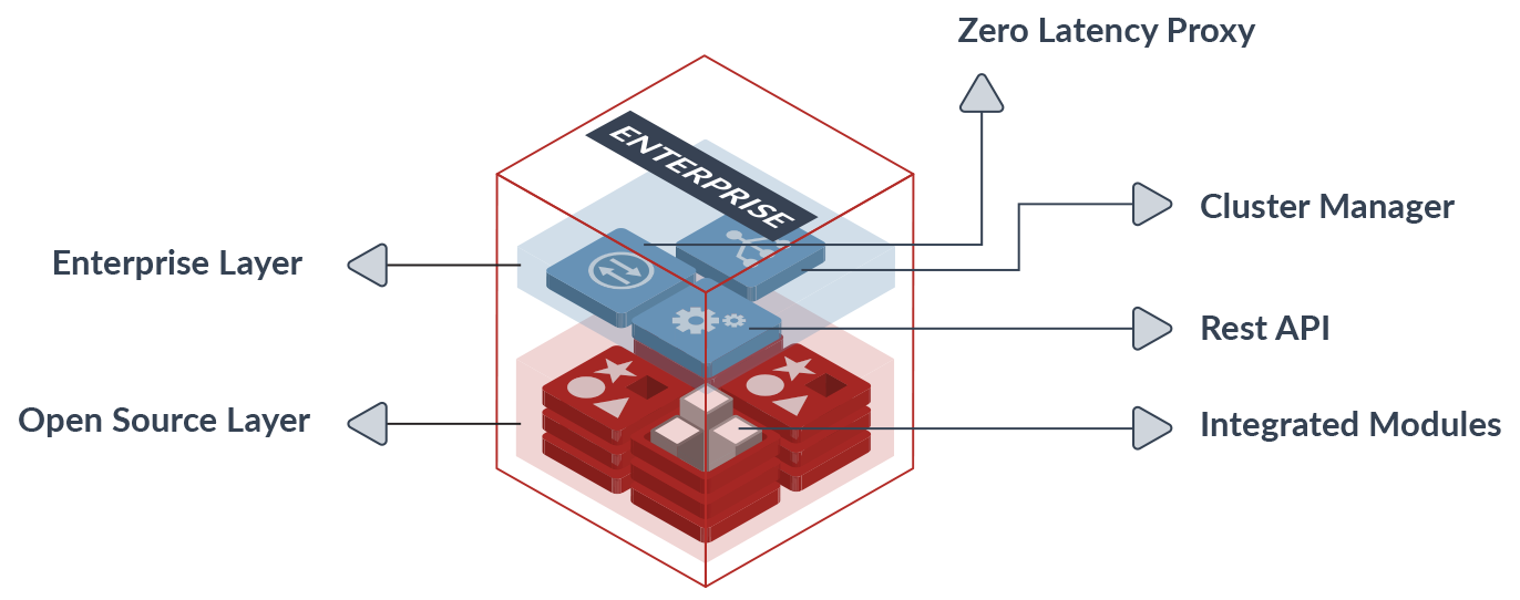 redis enterprise cluster components